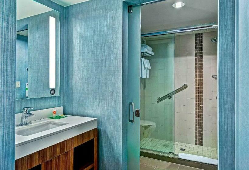 Стандартный Номер Кровать Кинг, Hyatt Place Fredericksburg At Mary Washington