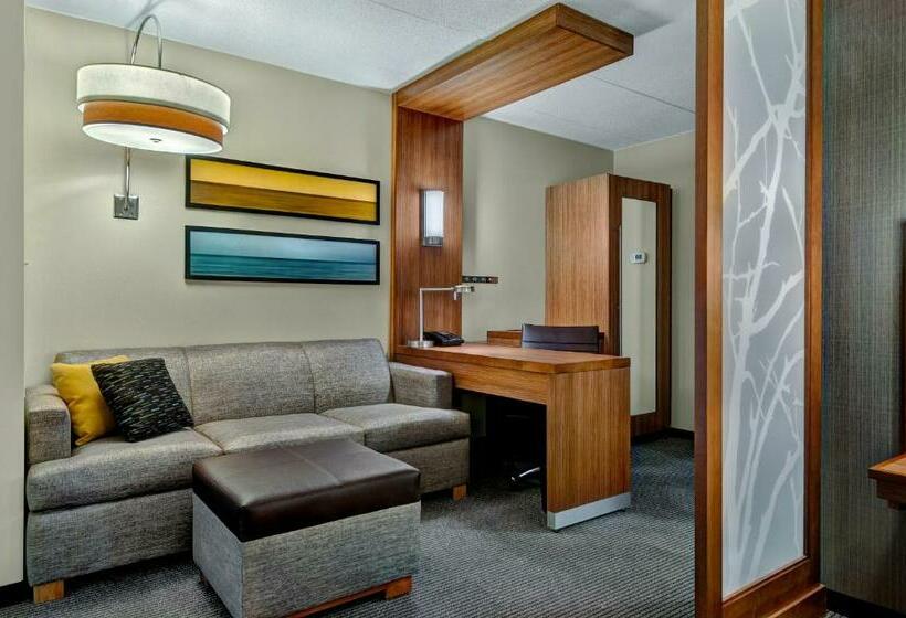 Студио Стандарт Кровать Кинг, Hyatt Place Fredericksburg At Mary Washington