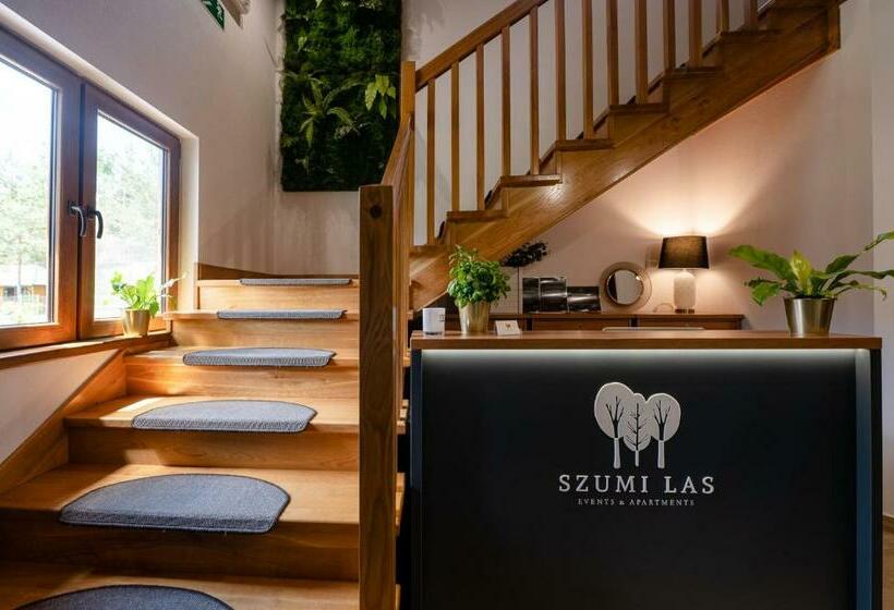 スタンダードルーム, Szumi Las Events & Apartments