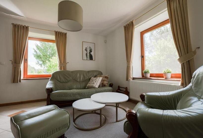 Вилла Superior 1 Спальня, Szumi Las Events & Apartments