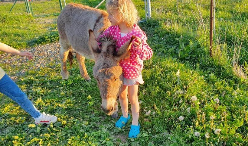 Дом 1 Спальня, Agroturystyka Na Słonecznej Orawie U Dzikich