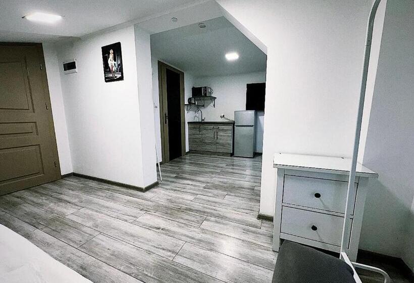 Номер Стандарт Индивидуальный, Apartamenty Retro