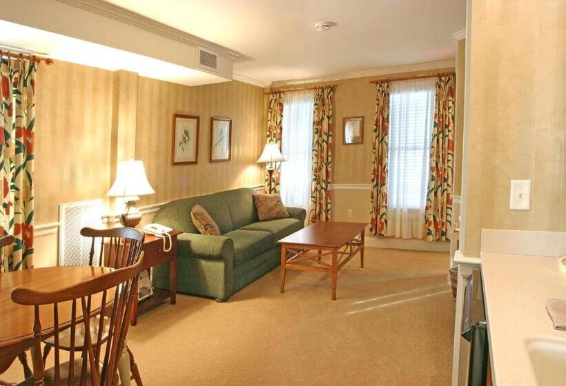 Люкс, Birdinhand Village Inn & Suites