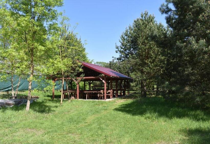Номер Стандарт Трехместный, Newland Wójtowicz