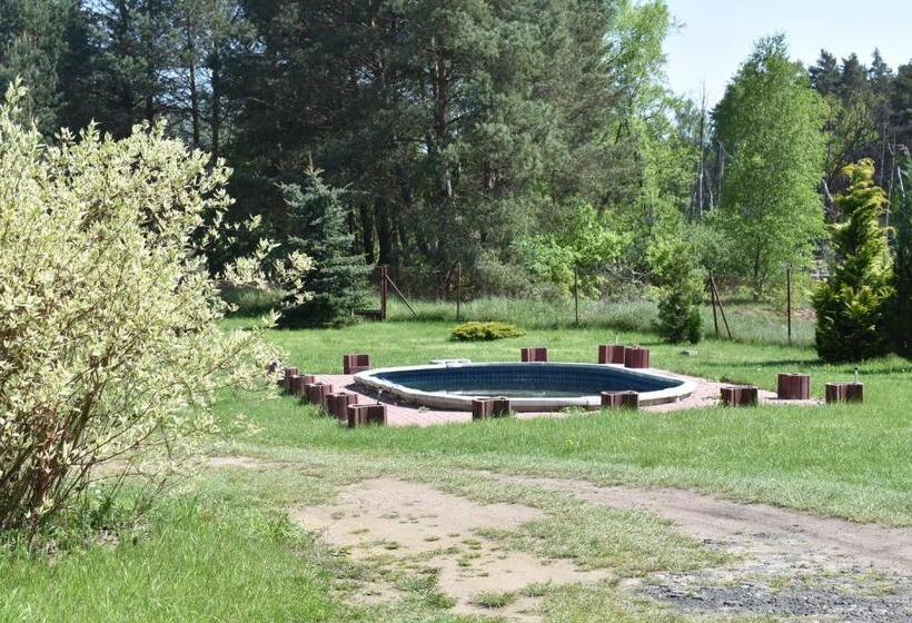 Номер Стандарт, Newland Wójtowicz