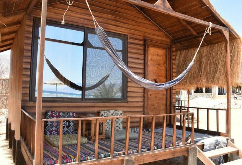 اتاق لوکس با چشم‌انداز دریا, Shanty Beach Camp Suer