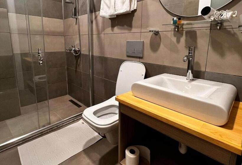 Номер Стандарт Индивидуальный, Nayada Otel Spa