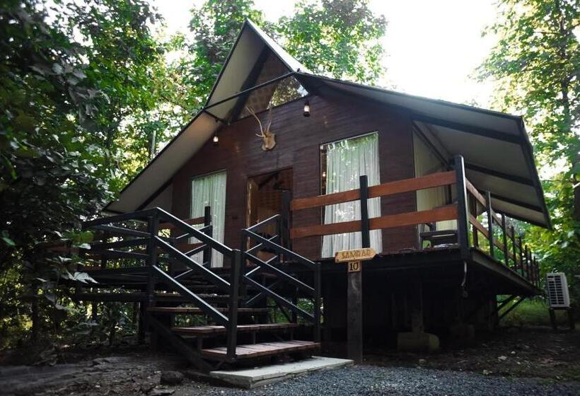 Standard Tent, La Selva Resort, Pench National Park