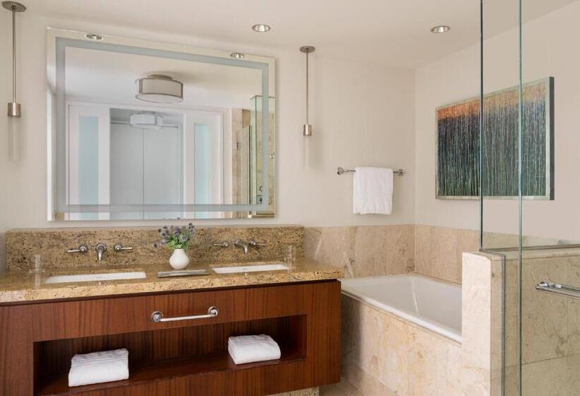 장애인을 위한 스탠다드 룸, Four Seasons  St Louis