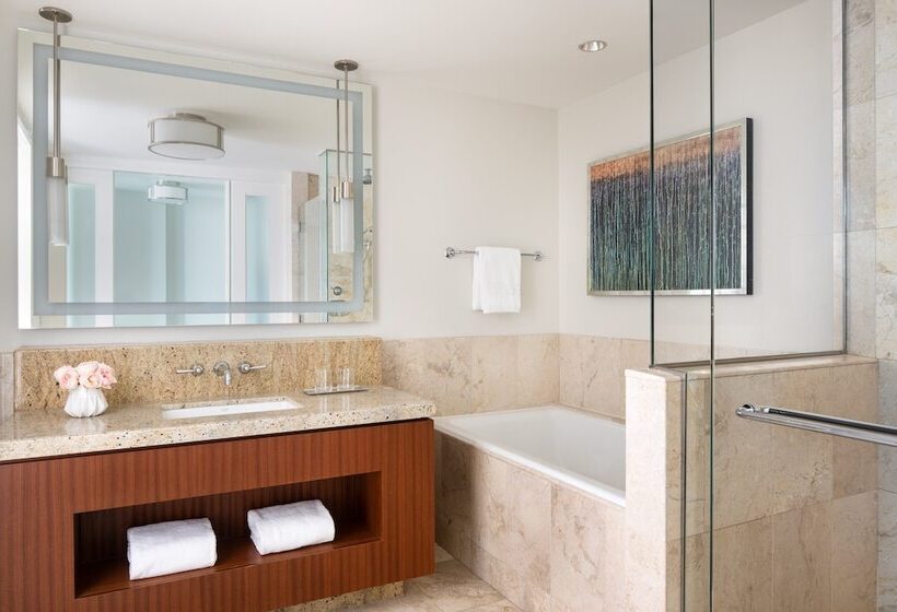 장애인을 위한 스탠다드 룸, Four Seasons  St Louis