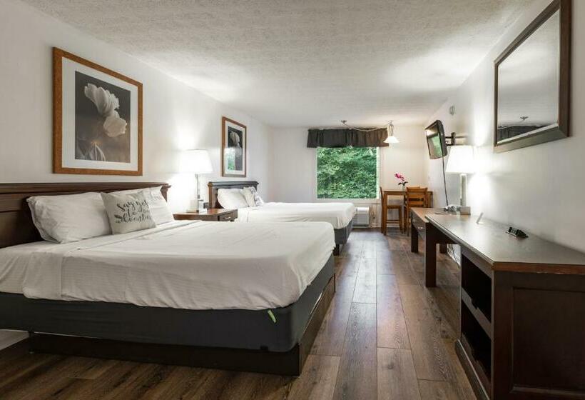 Номер Стандарт, Halesford Harbour Resort   Smith Mountain Lake