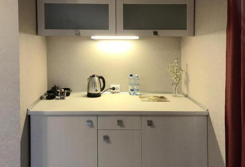 سوییت اجرایی, Penthouse Apartment In Hotel Eney