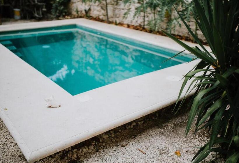 Quarto Estandar, Xiknal Cozumel