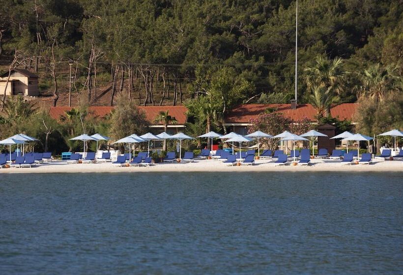 Номер Superior Вид на Море, D   Resort Ayvalık