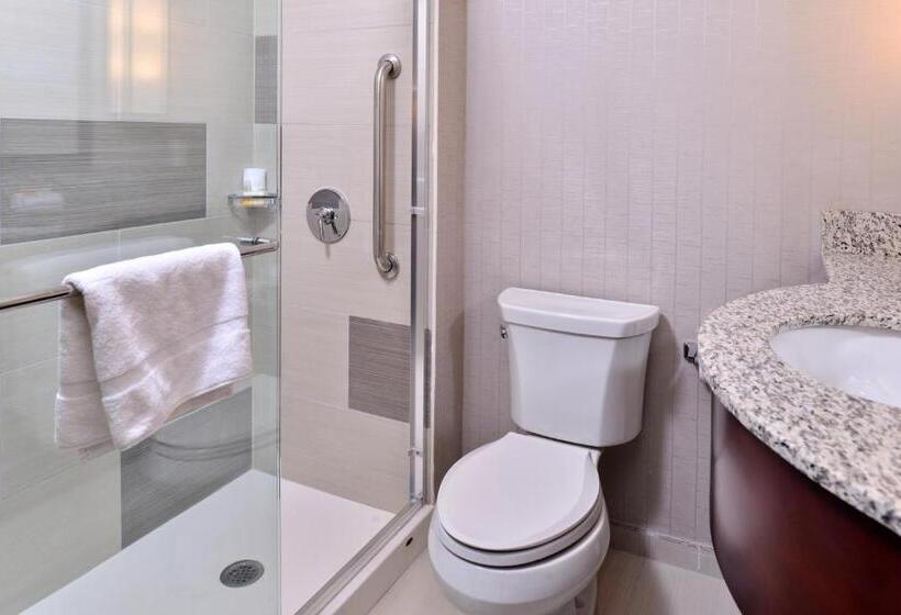 اتاق استاندارد, Holiday Inn New York City   Times Square, An Ihg