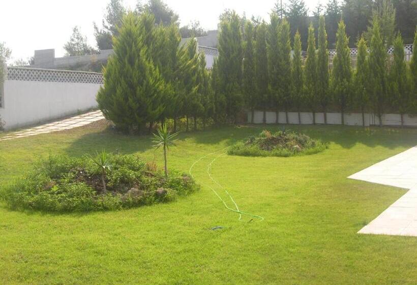 استودیوی سوپریور, Haris