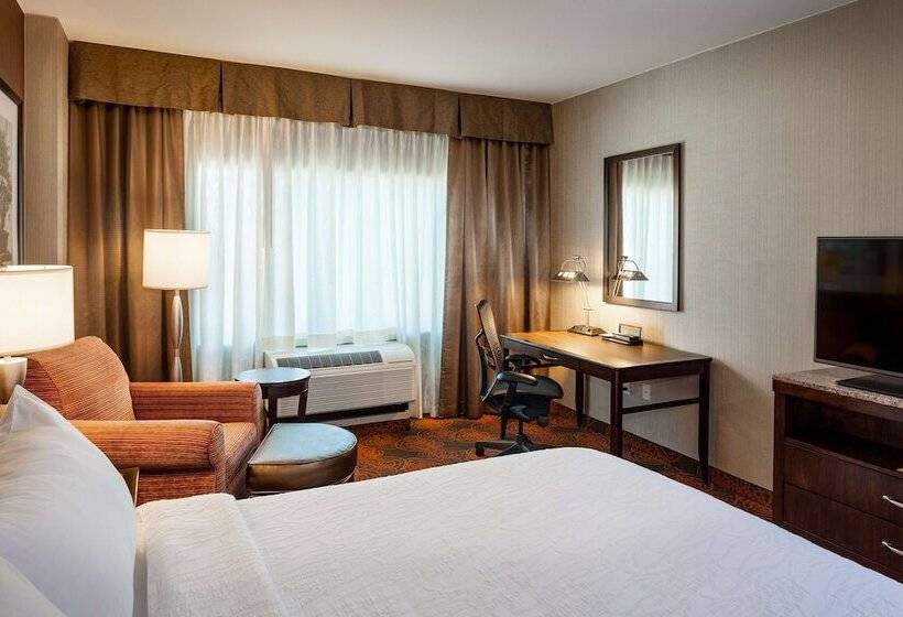 适合残疾人使用的标准间, Hilton Garden Inn Seattle Downtown