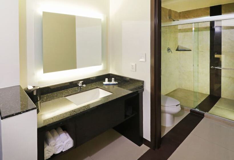 スタンダードルーム, Holiday Inn Express Tuxpan By Ihg