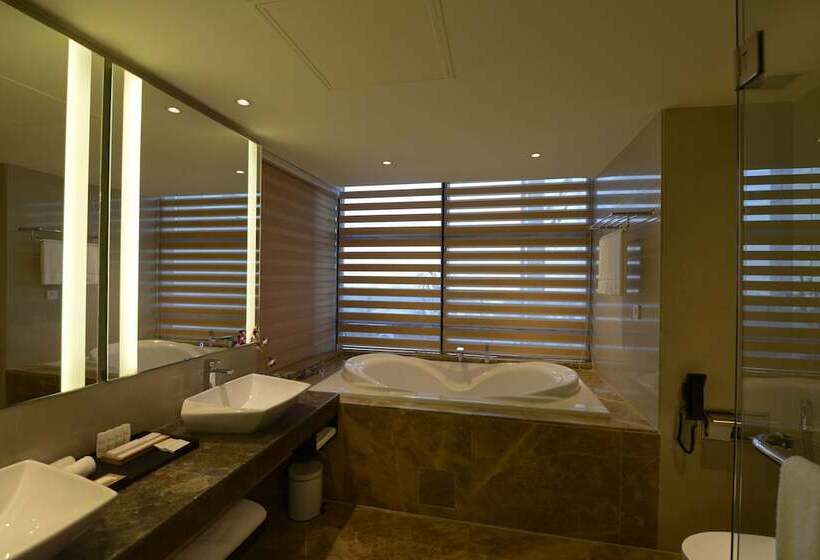 Номер Superior, Radisson Blu Chattogram Bay View