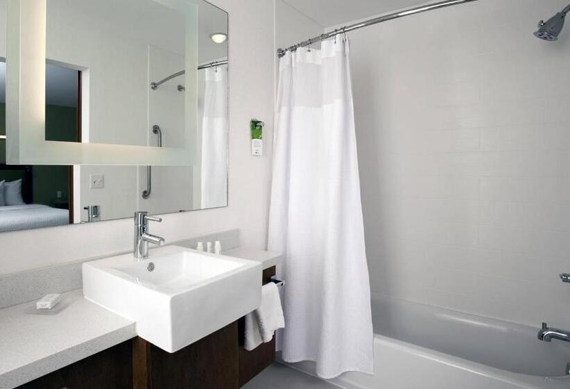 Студио Стандарт Кровать Кинг, Springhill Suites By Marriott Mobile West