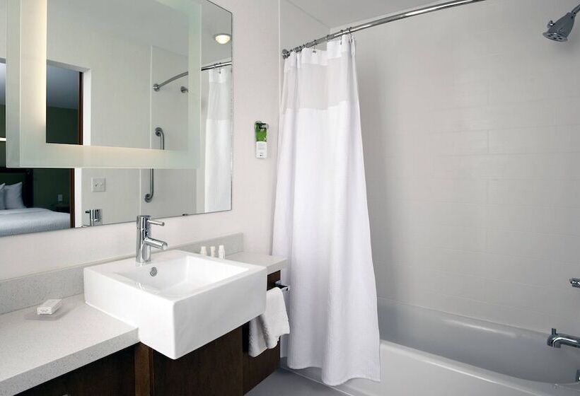 Студия Стандарт, Springhill Suites By Marriott Mobile West