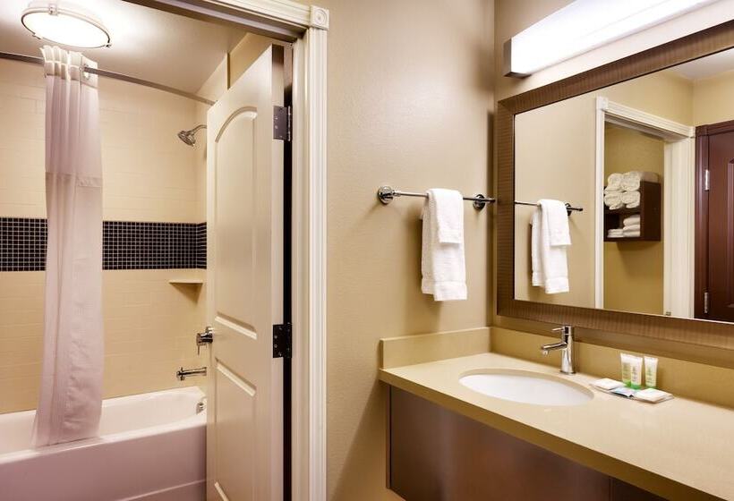 Люкс, Staybridge Suites Cheyenne, An Ihg