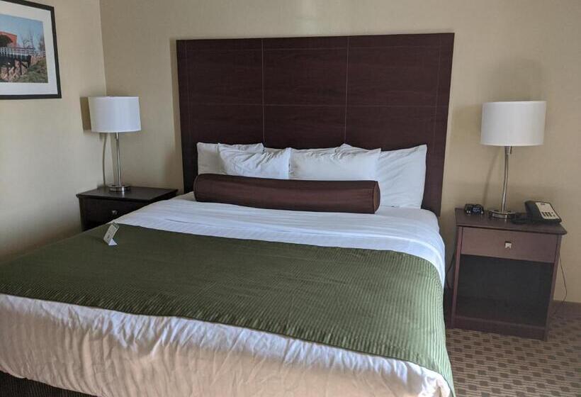 Номер Deluxe Кровать Кинг, Cobblestone Inn & Suites Winterset