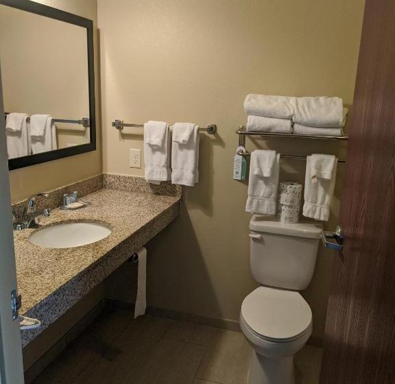 Четырехместный Номер Стандарт, Cobblestone Inn & Suites Winterset