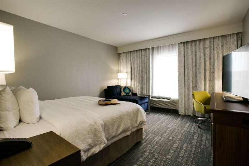 キングサイドベッドのスタンダードワンルーム, Hampton Inn & Suites Dallas/ft. Worth Airport South