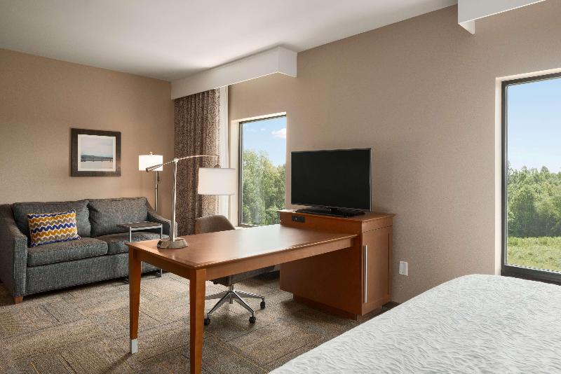 Студио Стандарт Кровать Кинг, Hampton Inn & Suites Lavonia