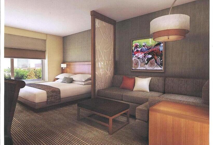 Номер Стандарт Кровать Кинг Адаптированный для Инвалидов, Hyatt Place At The Hollywood Casino Pittsburgh South