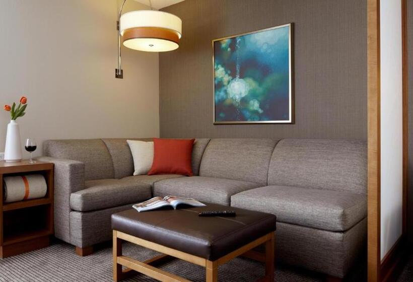 身障者適用スイートルーム, Hyatt Place At The Hollywood Casino Pittsburgh South