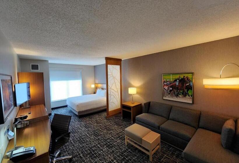 キングサイズベッドのスイートルーム, Hyatt Place At The Hollywood Casino Pittsburgh South
