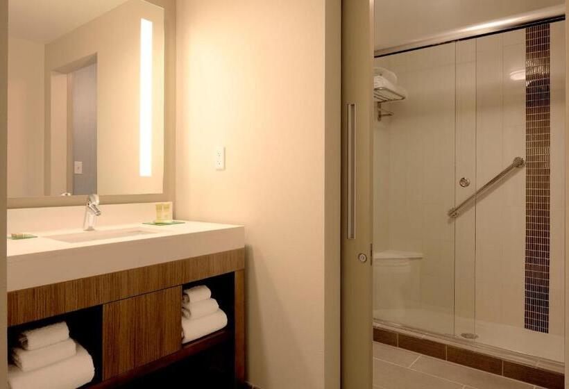 Стандартный Номер Кровать Кинг, Hyatt Place At The Hollywood Casino Pittsburgh South