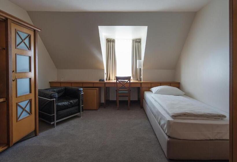 اتاق اکونومی یک تخته, Parkhotel Schmid