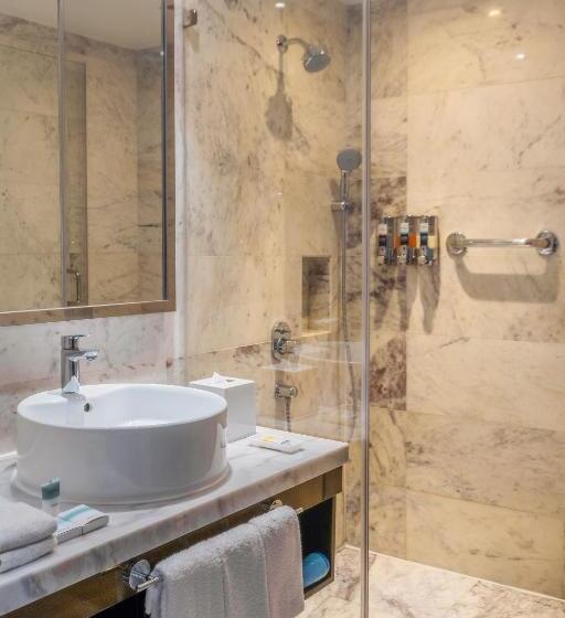 Номер Стандарт, Radisson Hotel Agra