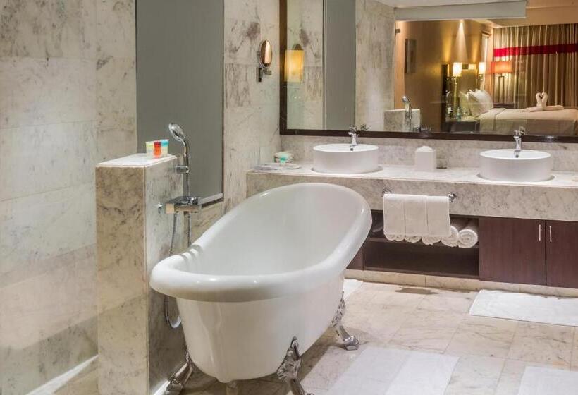 Президентский Люкс, Radisson Hotel Agra