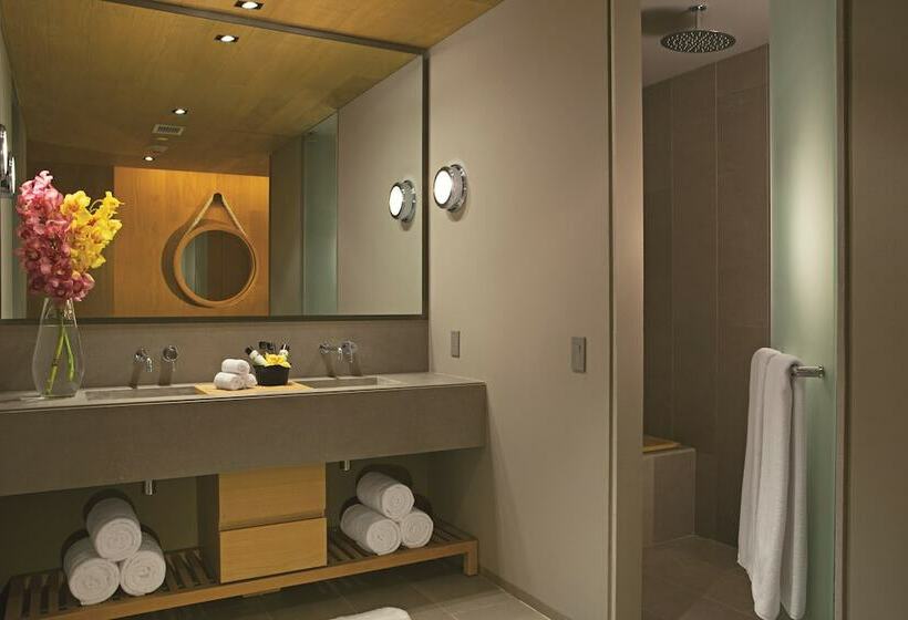 سوئیت با تخت بزرگ, Breathless Cabo San Lucas   Adults Only