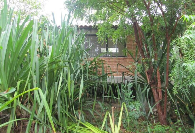 スタンダードルーム, Centro Sati Bungalow