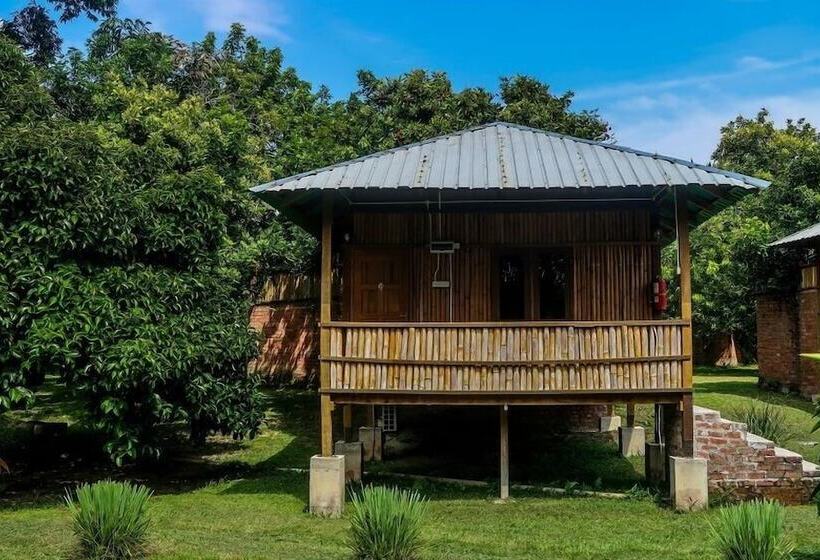 Superior Room Mountain View, The Roots Eco Resort