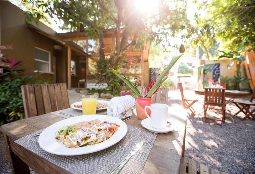 スイート, Villas Sayulita