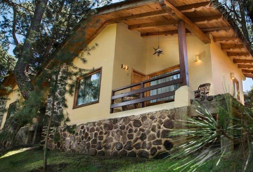 Suite, Bosque Escondido