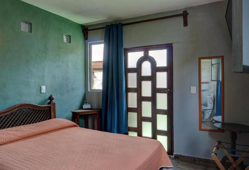 سوئیت جونیور با چشم‌انداز باغ, Spa Casa Del Sol