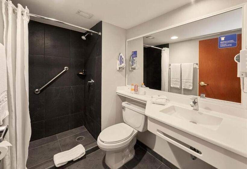 スタンダードルーム, City Express Plus By Marriott Cabo San Lucas