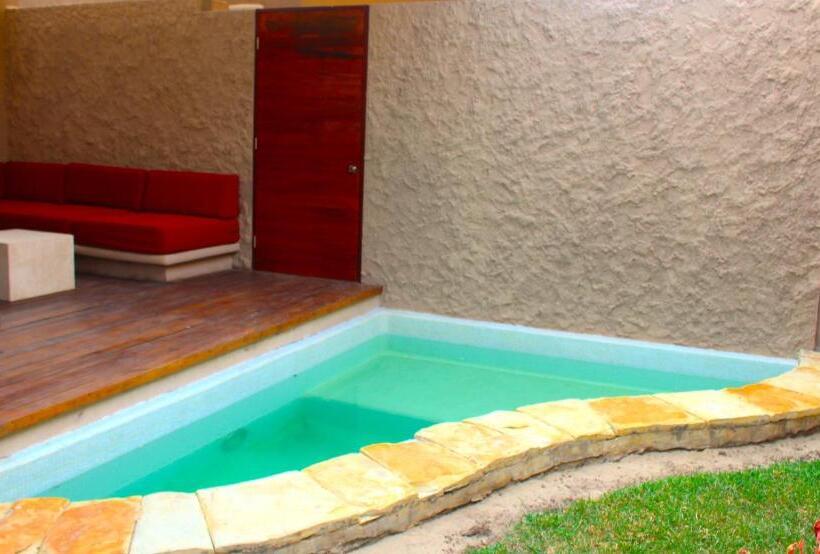 Quarto Estandar, Isla Tajín