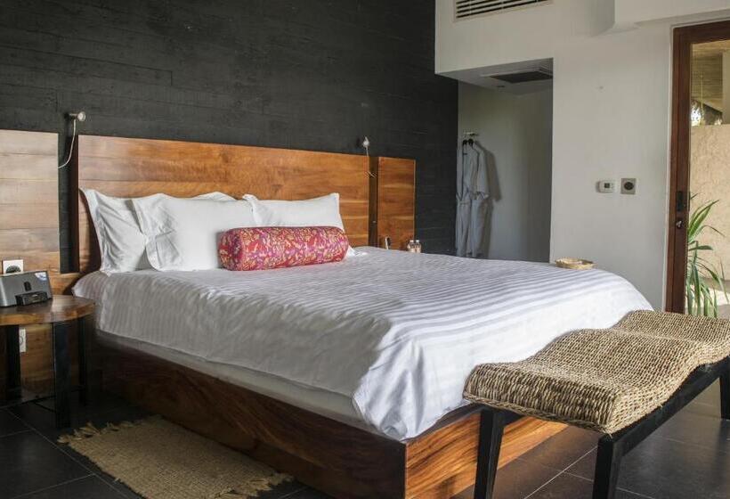 Quarto Estandar, Isla Tajín
