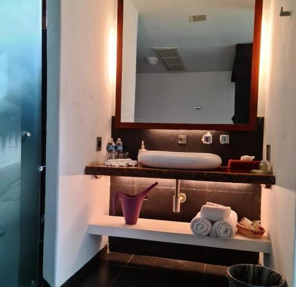 Quarto Estandar, Isla Tajín