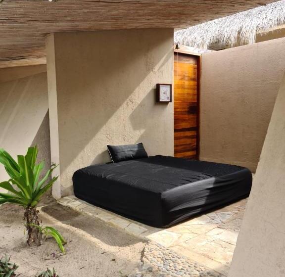 Quarto Estandar, Isla Tajín