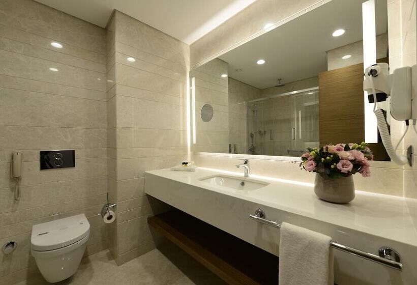 Standard Room Double Bed City View, Holiday Inn Bursa   City Centre, An Ihg