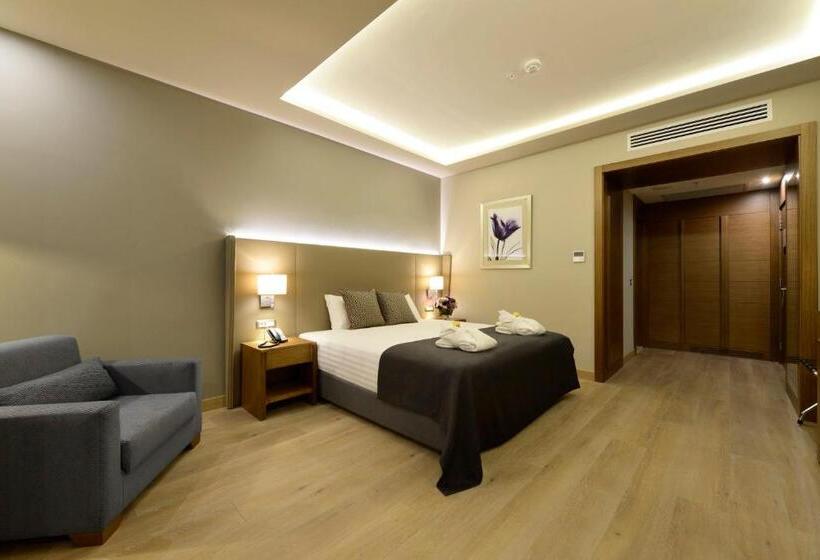 اتاق استاندارد, Holiday Inn Bursa   City Centre, An Ihg